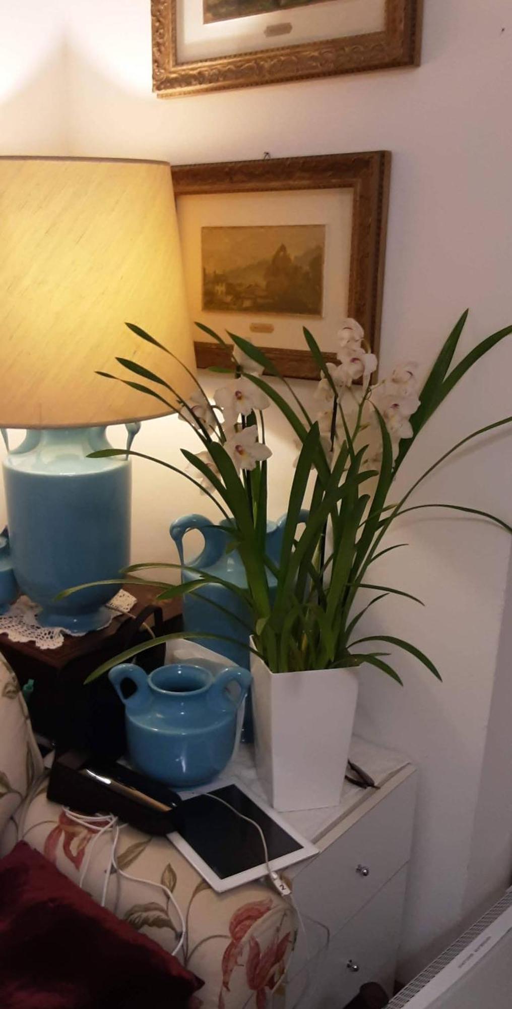 مبيت وإفطار فارينا Tosca House 2 المظهر الخارجي الصورة